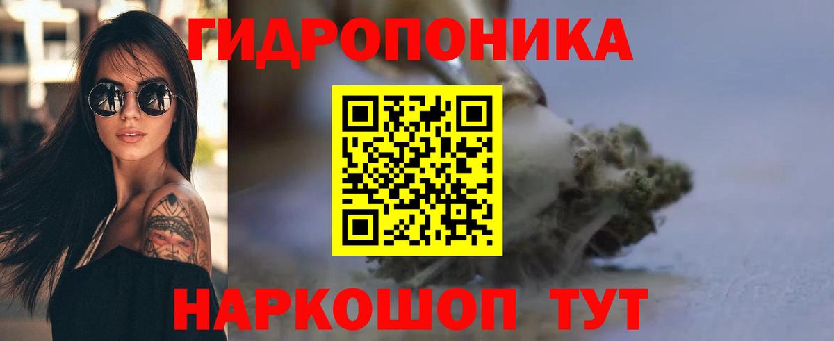 Конопля индика Горно-Алтайск